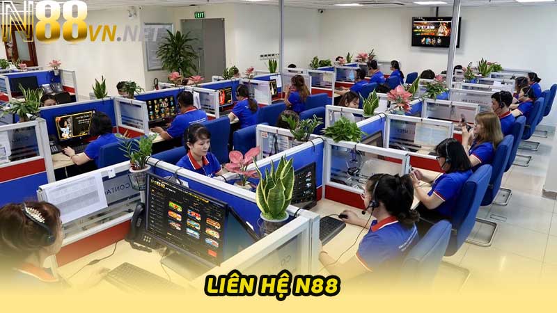 N88 Thông Tin Liên Hệ Cụ Thể Chi Tiết Cập Nhất 2024